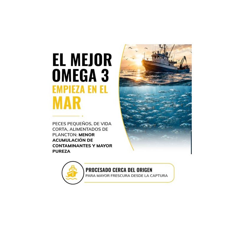 Omega 3 Premium 1000mg Certificado IFOS | Beyond Vitamins -