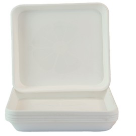 Home Garden Ornaments Saucer Flower Pot Square White 29 x 29 cm Set of 5 - Durable Flower Pot Saucer Square - Decorative Base for Flower Pots (29 x 29 cm, White)