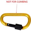 Feloyal 10 Pcs Aluminum Alloy D Hook Keychain Carabiner Clip