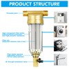 Water Filter, Reusable, 1 Inch Backwash Filter, Flushable Fine Filter