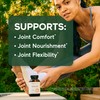 Smarter Joint Food - Nourishing Whole-Food Support for Lubrication, Mobility