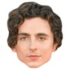 Timothée Chalamet (Curls) Celebrity Mask, Flat Card Face, Fancy Dress