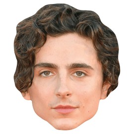 Timothée Chalamet (Curls) Celebrity Mask, Flat Card Face, Fancy Dress Mask