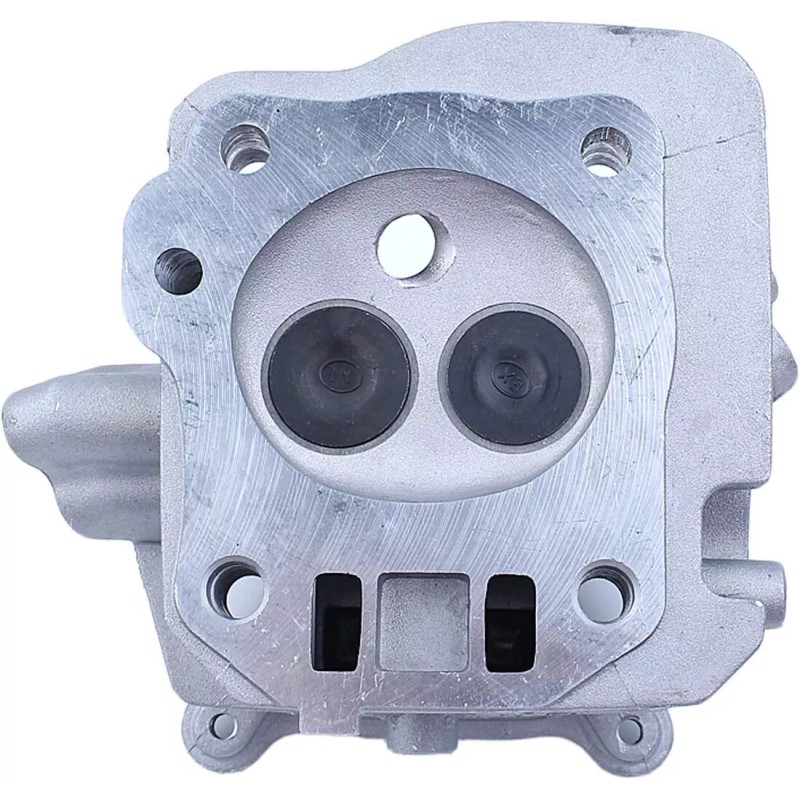 PCC For Honda GX160 5.5HP CYLINDER HEAD VALVES & SPRINGS