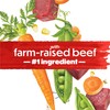 Purina Beneful Incredibites With Farm-Raised Beef Natural Small Breed Dry