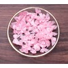 Sowaka 50 Pcs Mini Satin Ribbon Bow 0.9 Inch Small