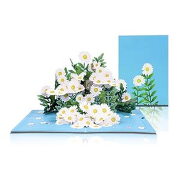 Pop-Up Card Birthday, 3D Pop-Up Card Daisy, Daisy Birthday Card, 3D, Birthday Card Woman, 3D Pop Up Card with Envelope, 3D Flower Daisy Greeting Cards for Wife, Girlfriend, Mother