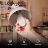 Feit Electric A19 LED Light Bulbs, 60W Equivalent, Dimmable, E26