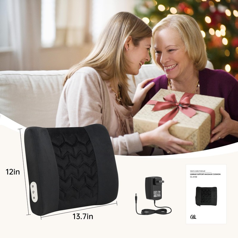 CILI Lumbar Support Pillow for Office Chair, Heated Back Support