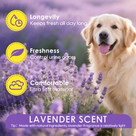 JollyMate 28"x34" Extra Large Dog Pee Pads 100 Counts , Leak-Proof Heavy Absorbent Pee Pads for Dogs, Quick Dry Disposable Puppy Pee Pads Lavender Scented