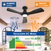 Depuley 42-Inch Ceiling Fans with Lights: Black 3 Blade Flush