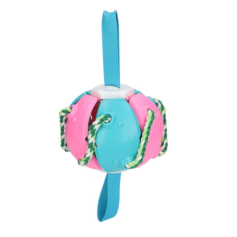 Interactive Outdoor Fly Ball Flying Saucer Ball Interesting Dog Soccer