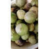 Fresh Tomatillo Milpero 2 lbs.