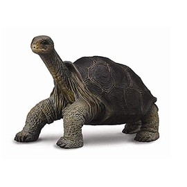 CollectA 88619 Galapagos Tortoise Turtle Figure