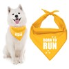 Parisian Pet Unisex Dog Bandanas with Printed 'Born to Run'