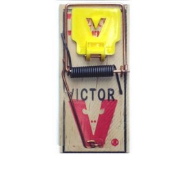 VICTOR MOUSE TRAP M325 (M-7) PROFESSIONAL CASE OF 72 TRAPS
