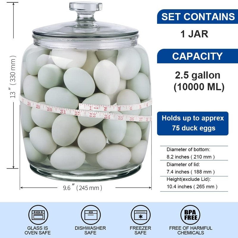 CATPOWER 2.5 Gallon Wide Mouth Glass Storage Jars with Lids