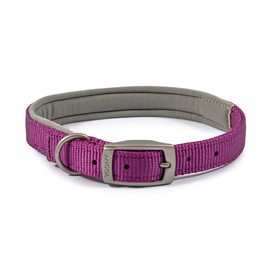 Ancol Padded Viva Collar with Buckle Purple 35-43 cm Size 4