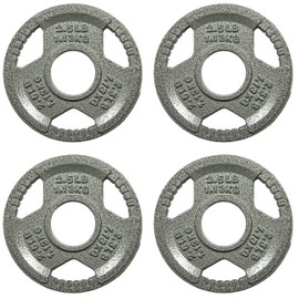 Fitvids Cast Iron Plate Weight Plate for Strength Training and Weightlifting, 2-Inch Center, 2.5LB (Set of 4)