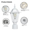 Outdoor Post Lights Dusk to Dawn, Lamp Post Light Fixture