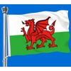 Welsh Flag,Big 3x5 FT Wales Dragon Flag,36x60 Inch Large Digitial