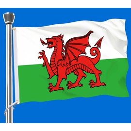 Welsh Flag,Big 3x5 FT Wales Dragon Flag,36x60 Inch Large Digitial Double-Printed Durable 75D Thick Polyester Decorations with 2 Brass Grommet
