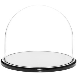Plymor 8" x 6.5" Glass Display Dome Cloche (Black Acrylic Base)