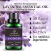 Mindbreaker Organic Lavender Essential Oil, Fragrant Oils with Organic Aromatherapy