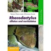 Rhacodactylus ciliatus und auriculatus: Pflege und Vermehrung