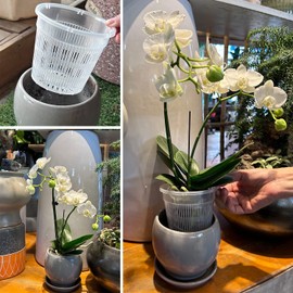 Tialero Orchid Pots, 12 Pack 4.5in Orchid Pots with Holes, Clear Orchid Pots for Repotting, Breathable Slotted Orchids Planter for Small and Medium Sized Orchids(12Pcs 4.5in)