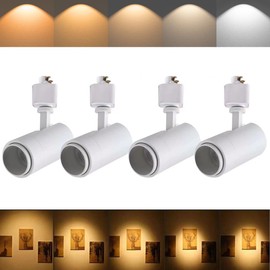 Ajbvp 5-Color LED Track Lighting Heads 12W Dimmable,Adjustable Beam Degree15°/24°/36°/45°/60°,2700K/3000K/3500K/4000K/5000K,Single Circuit H Track Lighting Heads Ceiling Fixtures (White)