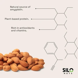 SILO Nuts Organic Bitter Apricot Kernels - USDA Certified Organic Bitter Apricot Seeds - Natural & Non-GMO, Premium Quality Kernals, No Sulfur or Additives - 16 oz