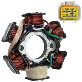 RedCap Stator Magneto 6 Coil Pole 5-Wire for 110cc 125cc Coolster Max Mountopz RX4 RX5 RX6 RX7 RX8 Cougar Cycle Rider 10 Dirt Bike ATV Compatible with Taotao Kazuma SSR Apollo Lifan Sunl JCL