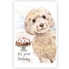 Cockapoo Dog Birthday Card, Cockapoo Dog Greetings Card, Cockapoo Dog.