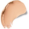 Physicians Formula Gentle Cover Concealer Stick, Light, 0.15 oz.