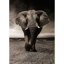 Elephant Birthday Card