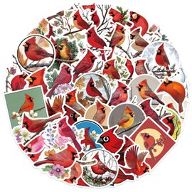 56 Pcs Cute Red Bird Stickers for Kids Teens, Kawaii Stickers for Girls Boys, Party Favors & Decorations, Waterproof Starry Sky Cats Sticker Pack for Water Bottle Laptop Scrapbook (Red Bird)