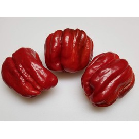 Antep Aci Dolma Pepper 10+ Seeds