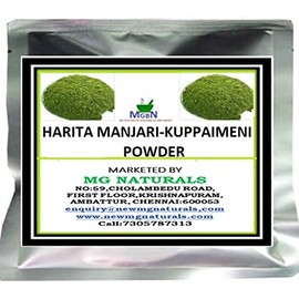 MGBN Harita Manjri-Indian Nettle-Kuppaimeni-Acalypha indica Powder 50 GM