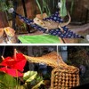 Knana 6pcs Suction Cups for Reptile Terrarium - Reptile Replacement