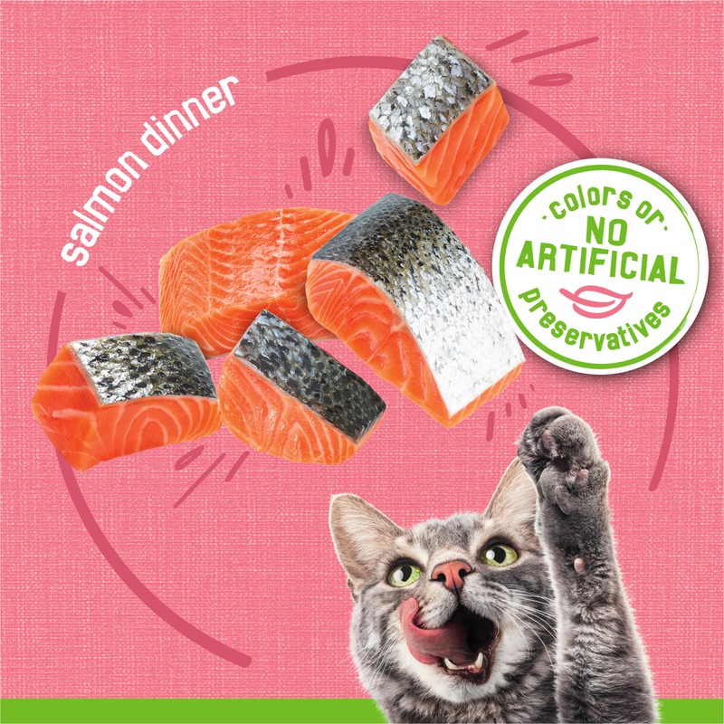 Friskies Purina Friskies Wet Cat Food Pate, Pate Salmon Dinner