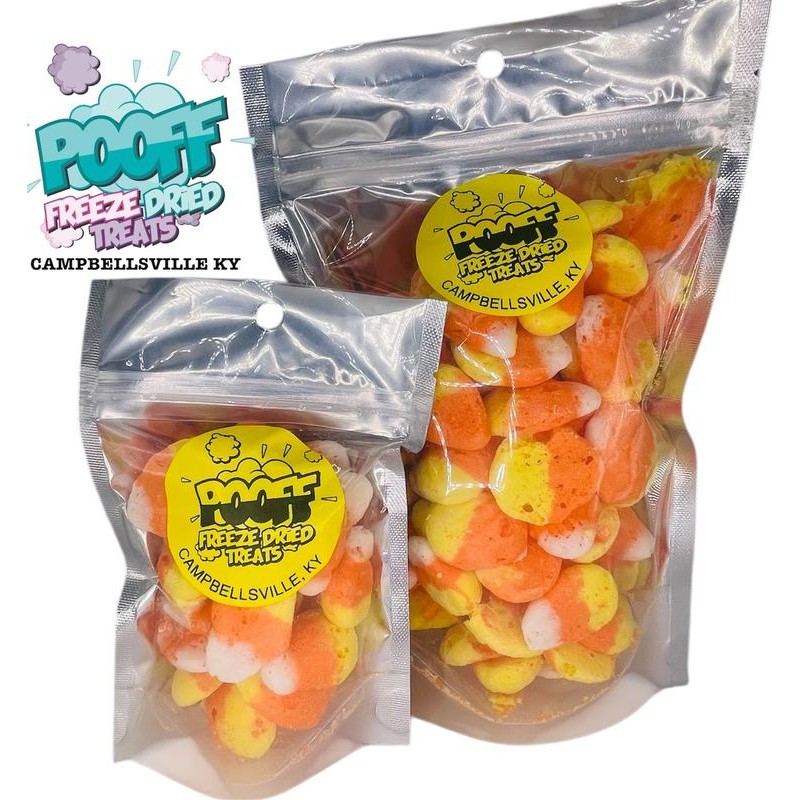 Freeze Dried Candy Corn - Size: Small (2.25oz)