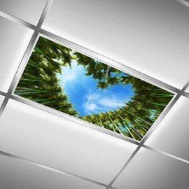 Dujupu 2Pcs luorescent Light Cover for Classroom, Magnetic Drop Ceiling Decorative Film Filter,Eliminate Harsh Glare Causing Eyestrain and Headaches,4 X 2 Feet