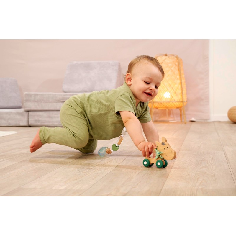 Eichhorn EH Baby Hipp Schiebe-Esel