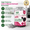 Royal Oak Health Lion's Mane Mushroom Gummies - 60 Natural
