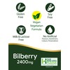 Bilberry Extract Capsules | 2400mg | 200 Count | Vegan
