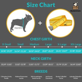 Queenmore Small Dog Life Jacket, Adjustable Pet Life Vest for Small and Medium Dogs with High Buoyancy, Rescue Handle, Reflective Bands for Boating, Canoeing, Swimming