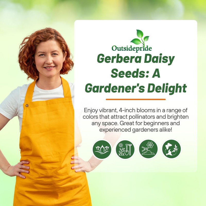 Outsidepride Golden Yellow Gerbera Seeds - 20 Pcs Perennial, Compact