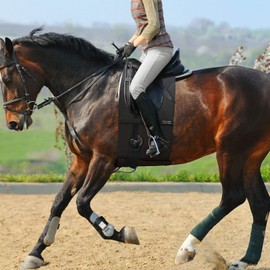 Harrison Howard Horse Belly Guard Body Bandage Wrap Spur Mark Protector Belly Cover Skin Guard Full Size