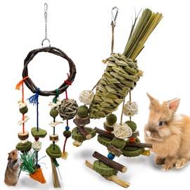 Acsist Rabbit Chew Toy, 2Pcs Bunny Cage Hanging Chew Toy & Treats,Natural Material Handwoven Chinchilla Rattan Ring Treats Toys for Guinea Pigs Hamsters Rats and Other Small Pets Teeth Grinding